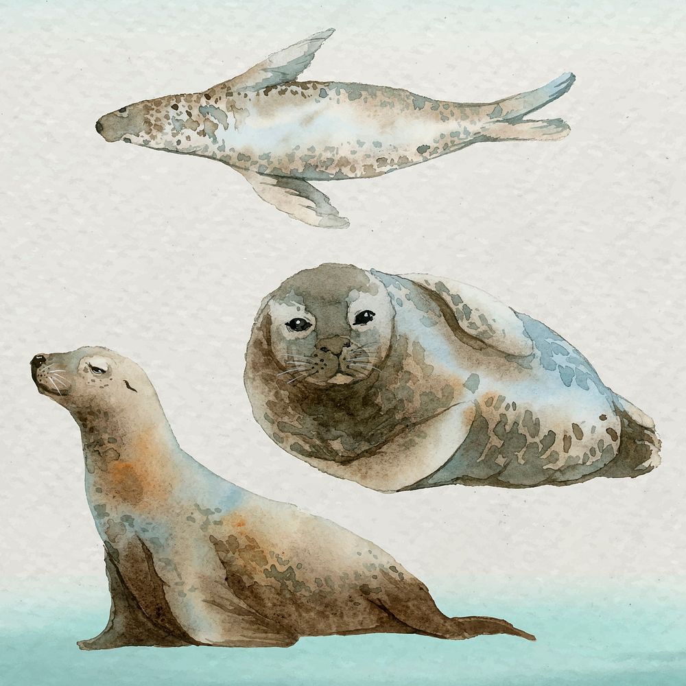 Watercolor painted seal in watercolor banner vector