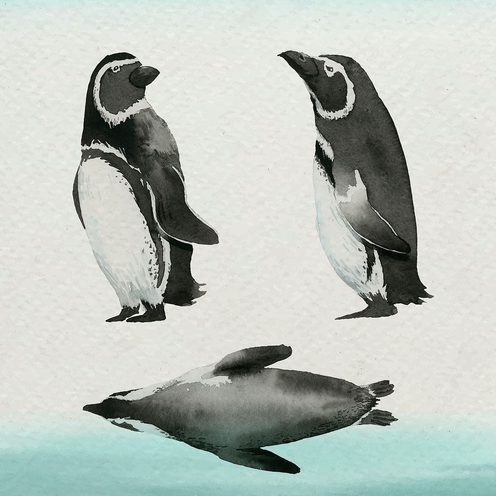 Watercolor painted penguin in watercolor banner vector