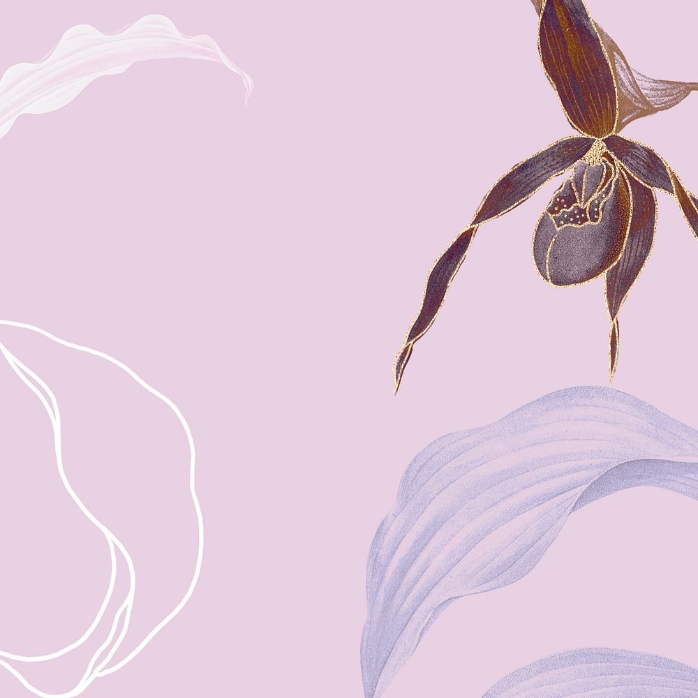 Lady's Slipper Orchid leafy background illustration