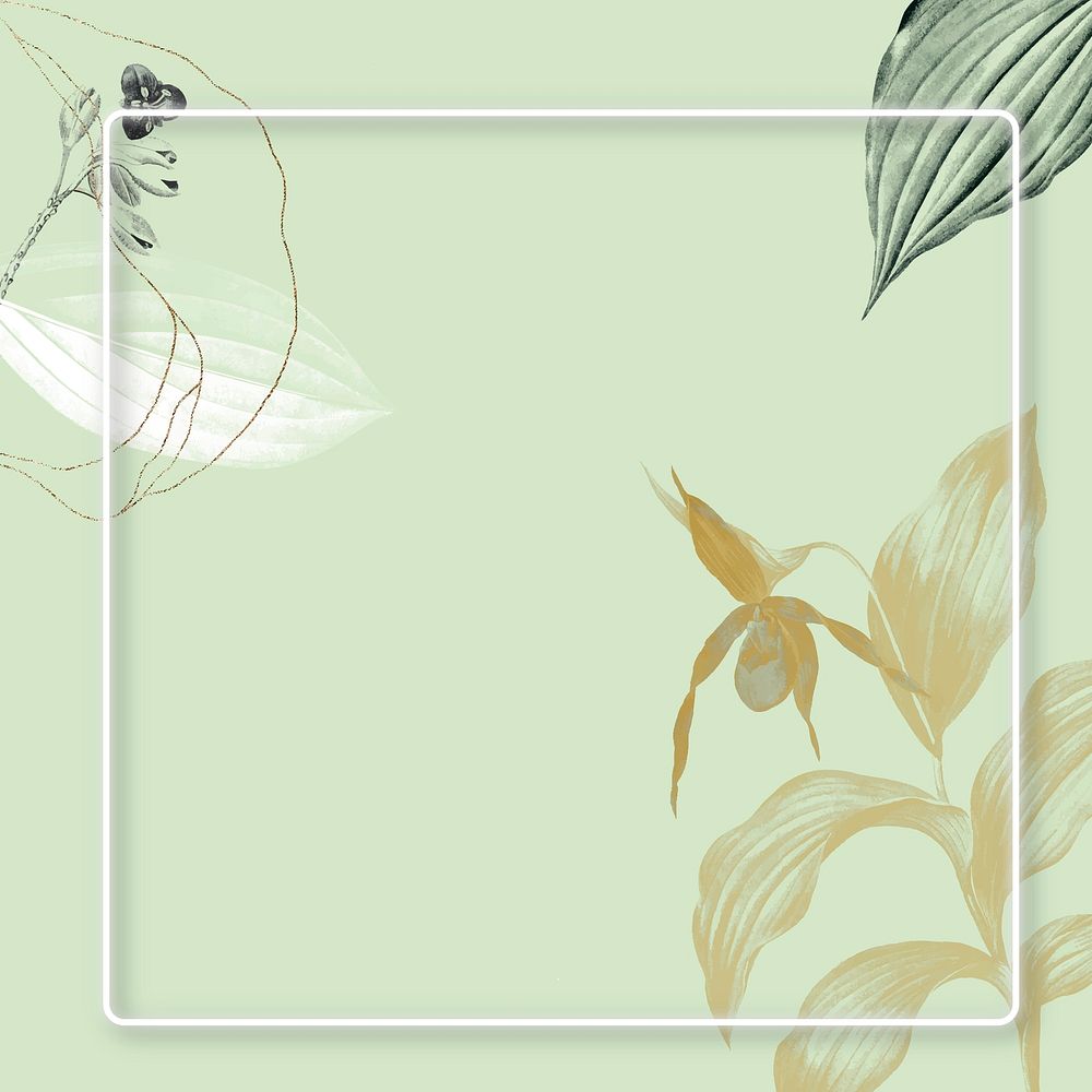 Rectangle frame on leafy background vector