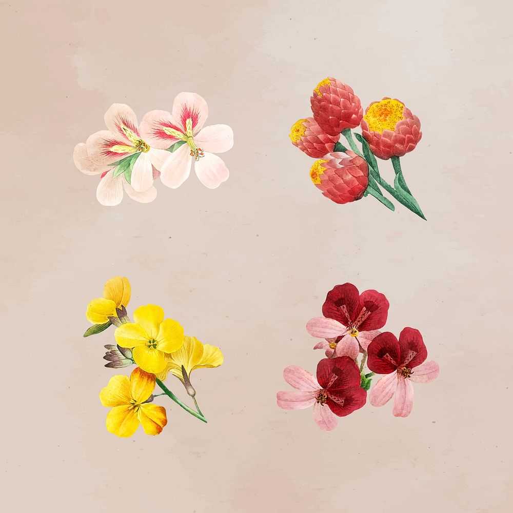 Colorful flower set on a beige background vector 