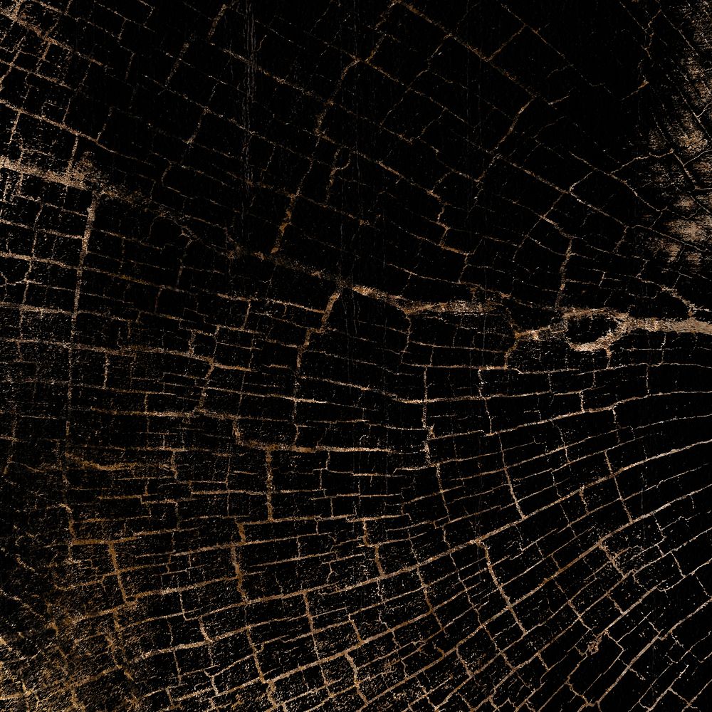 Black tree rings textured design | Free Photo - rawpixel