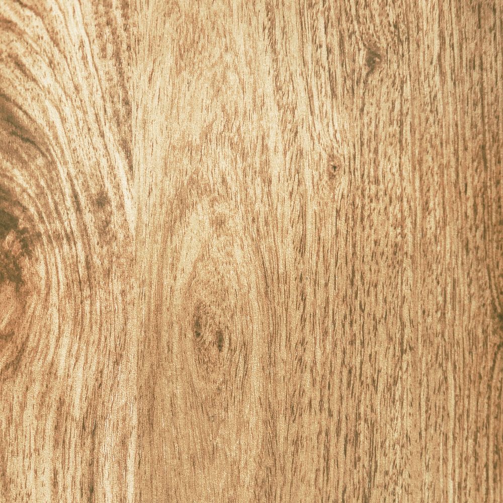Blsnk oak wood textured design background