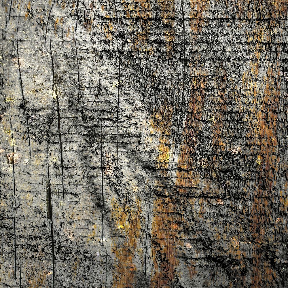 Scratched dark wood textured background