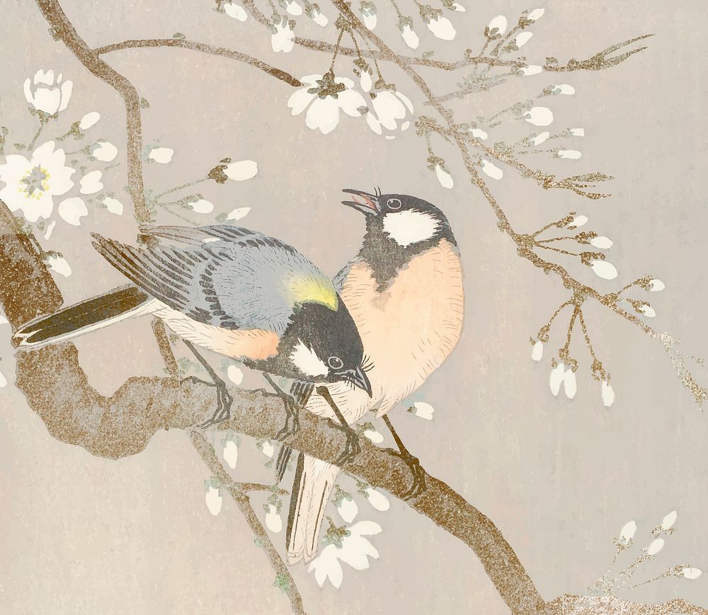 Tit birds on a cherry branch vintage vector, remix from original artwork.
