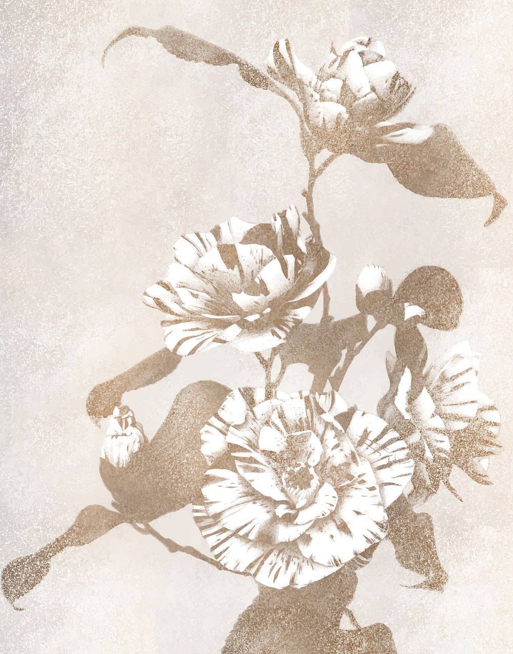 Sepia striped Camellias vintage vector artwork, remix from orginal photography.