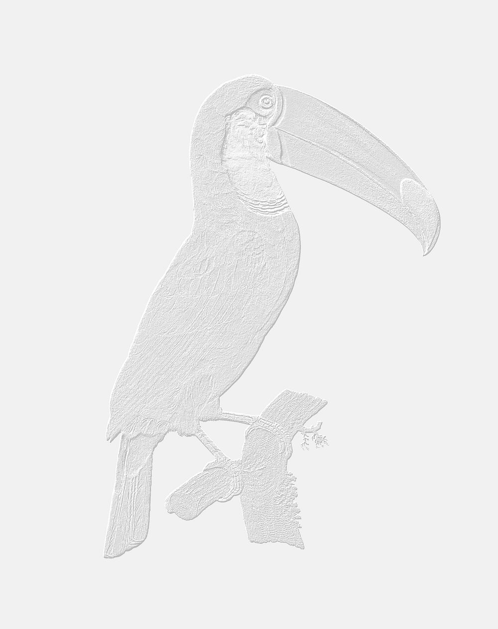 Embossed Toco toucan vintage illustration, remix from original artwork.