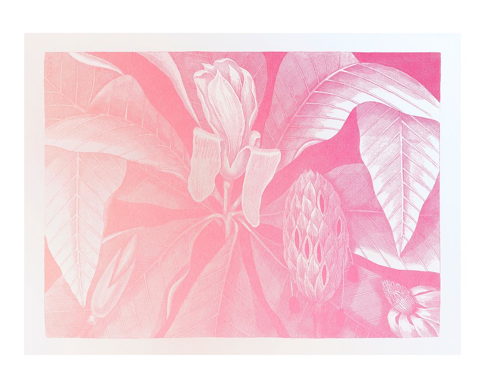 Pink umbrella tree vintage illustration wall art print and poster. Remix from original artwork.