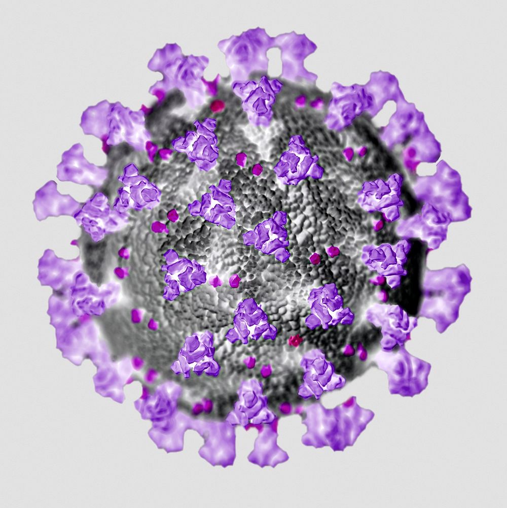 Ultrastructural illustration of coronavirus