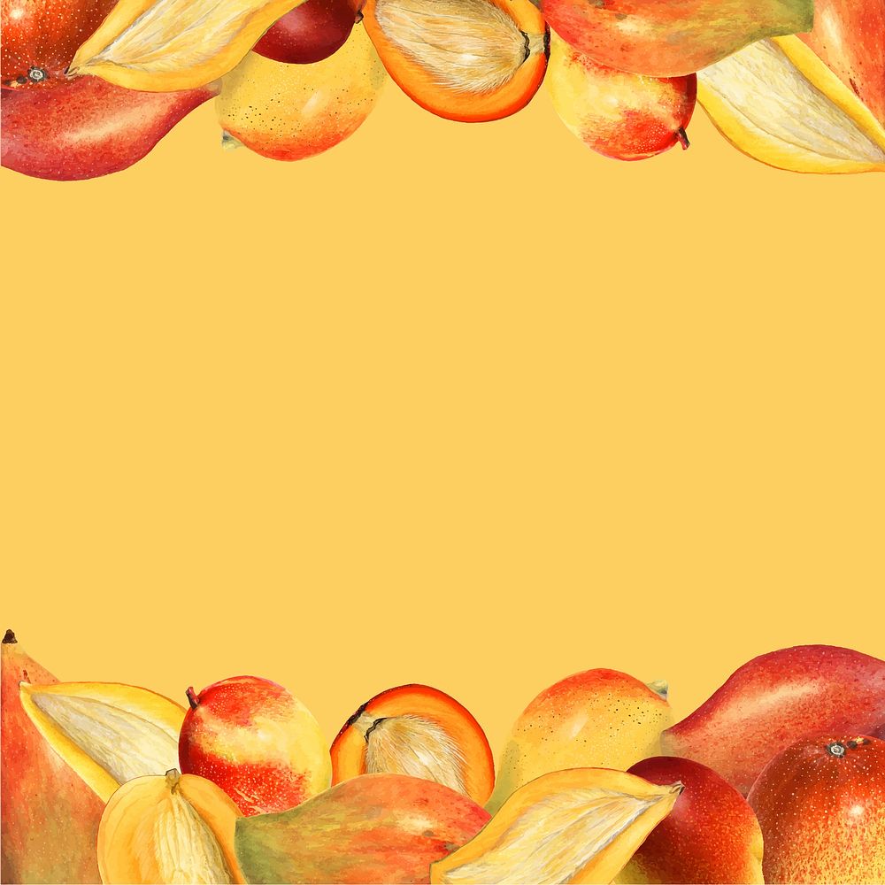 Hand drawn natural fresh mango frame vector