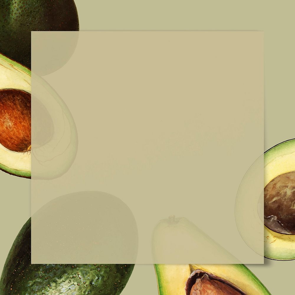 Hand drawn avocado frame with copy space vector