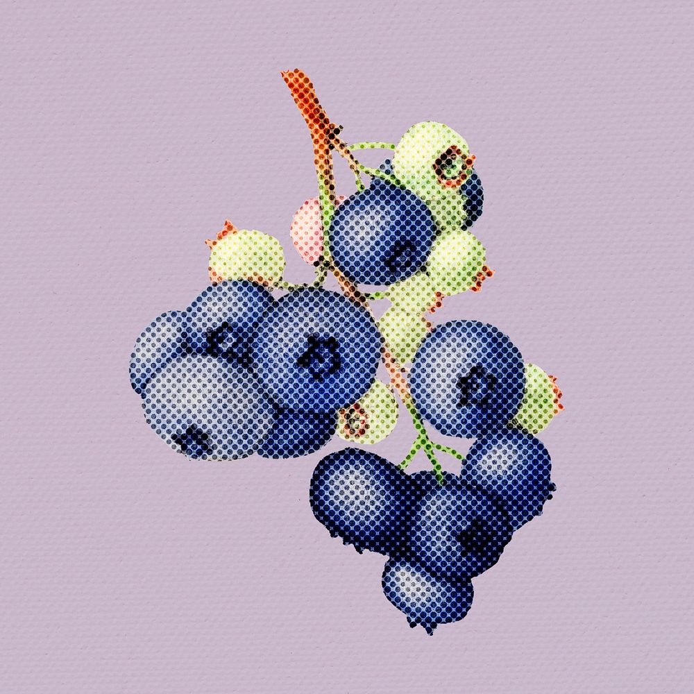 Halftone blueberry branch sticker