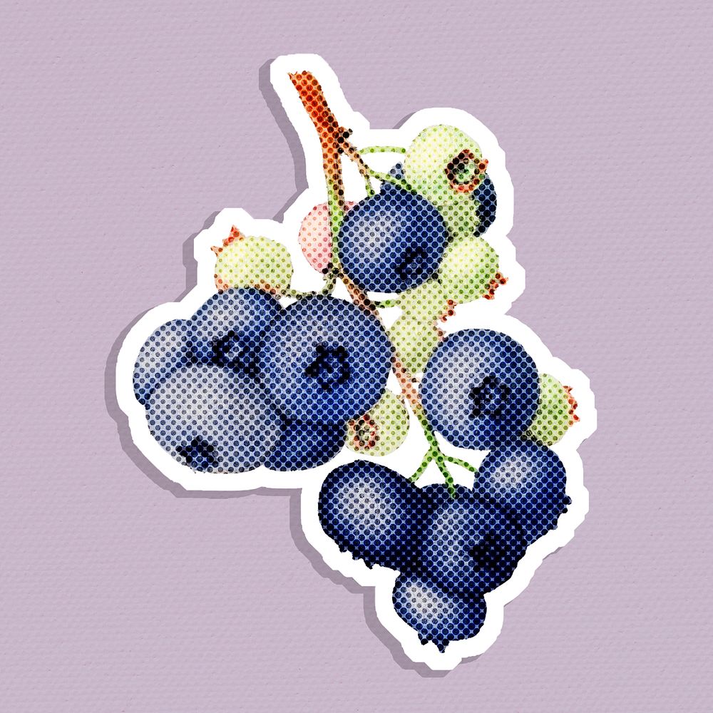 Halftone blueberry branch sticker with white border