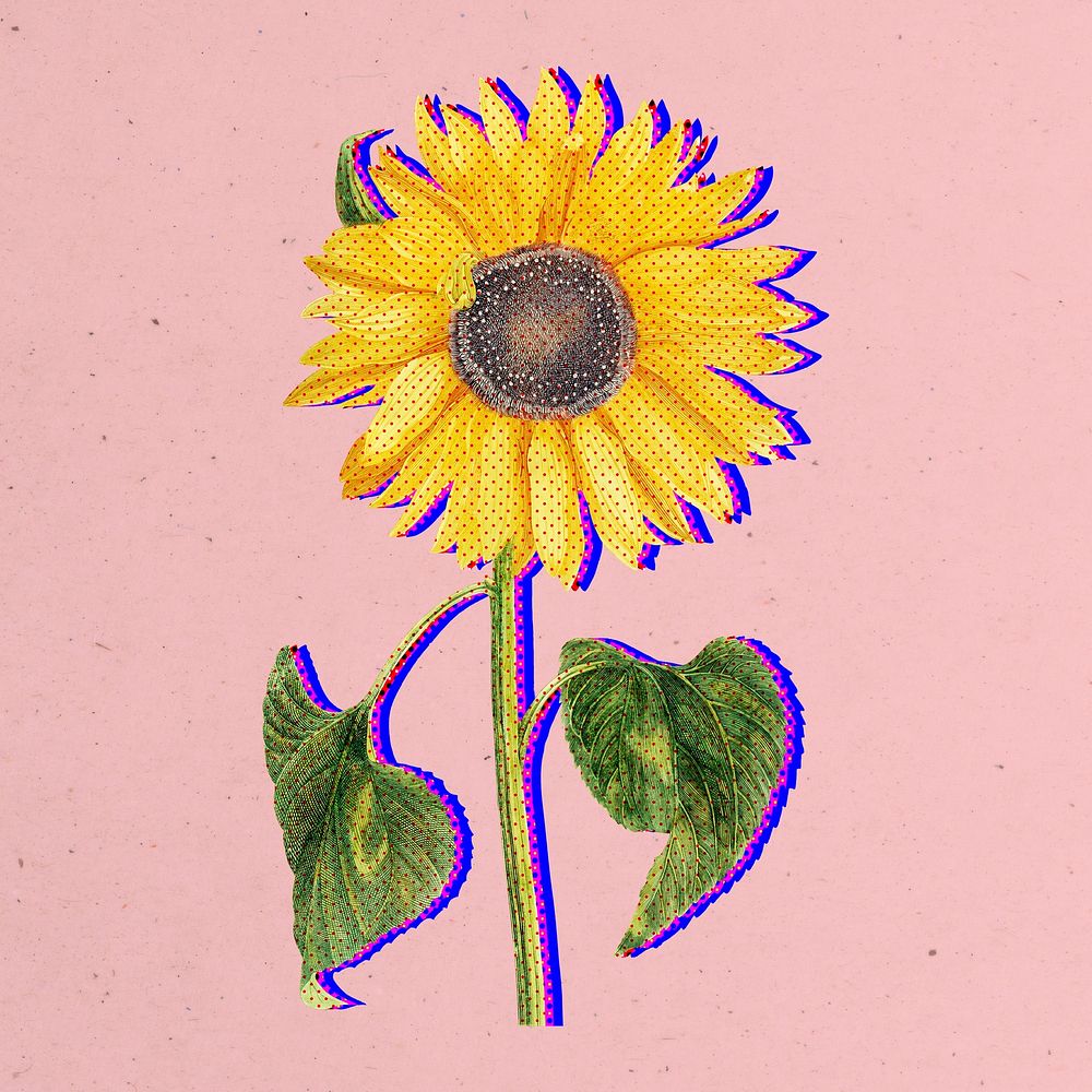 Halftone yellow sunflower with neon outline sticker