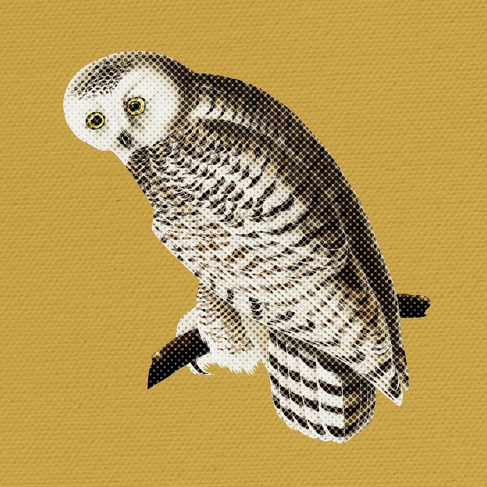 Halftone snowy owl sticker design element