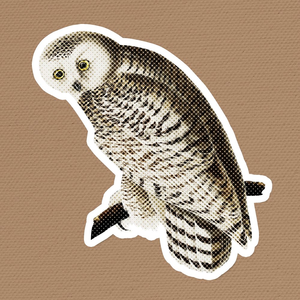 Halftone snowy owl sticker with a white border