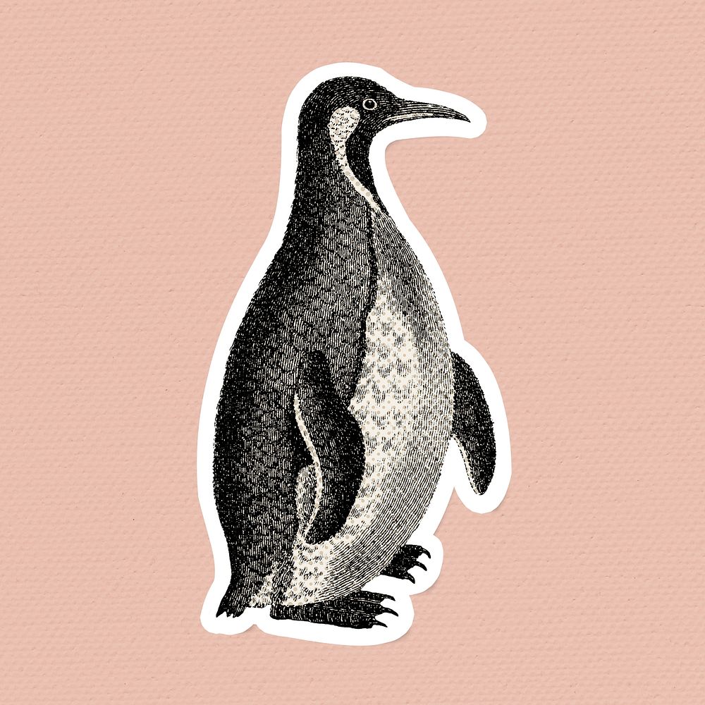 Halftone Patagonian penguin sticker with a white border