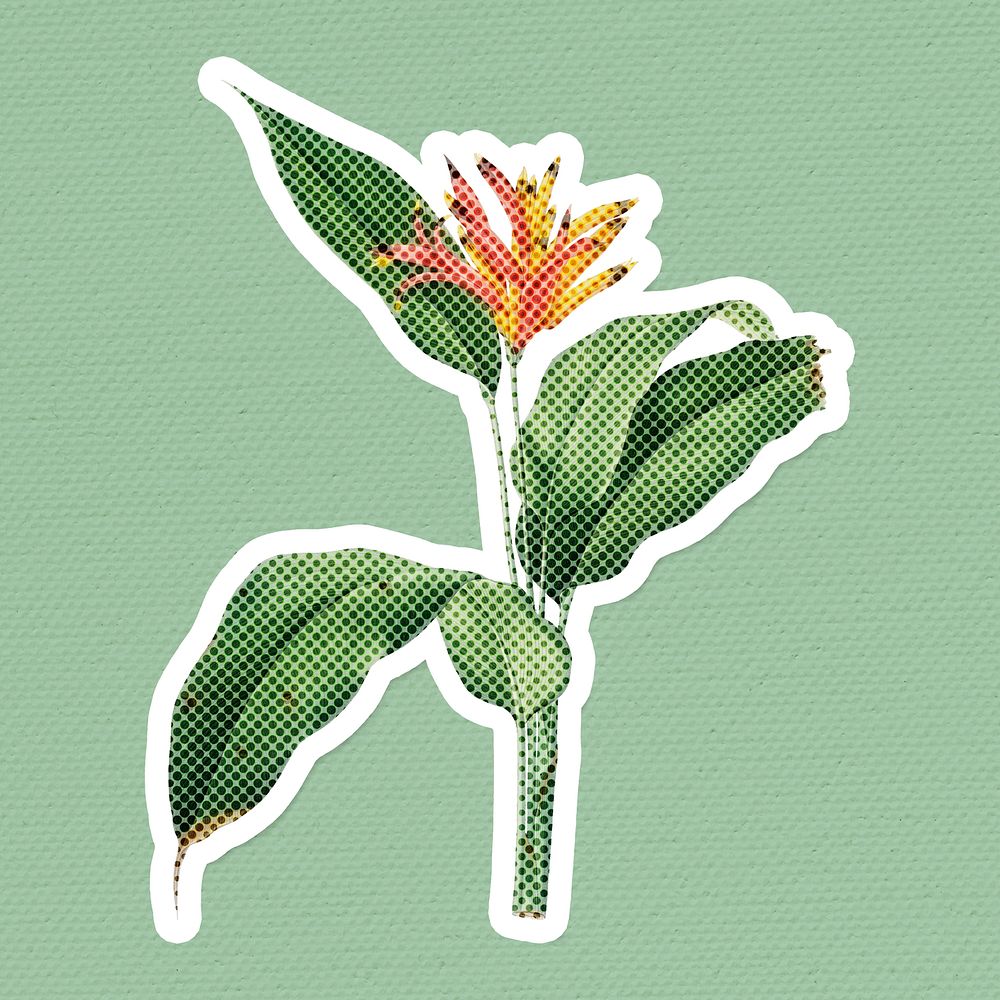 Halftone Heliconia flower sticker with a white border