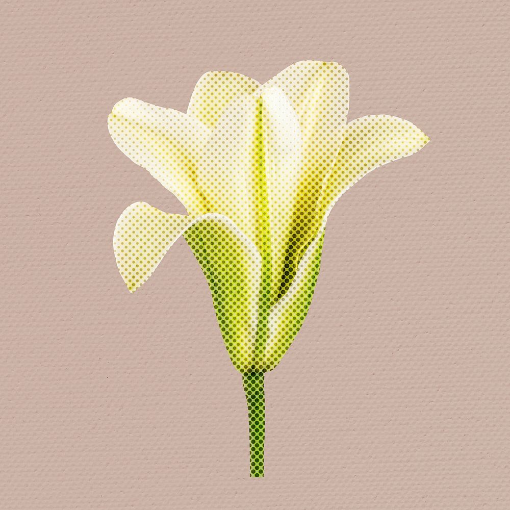 Halftone white lily flower sticker design element