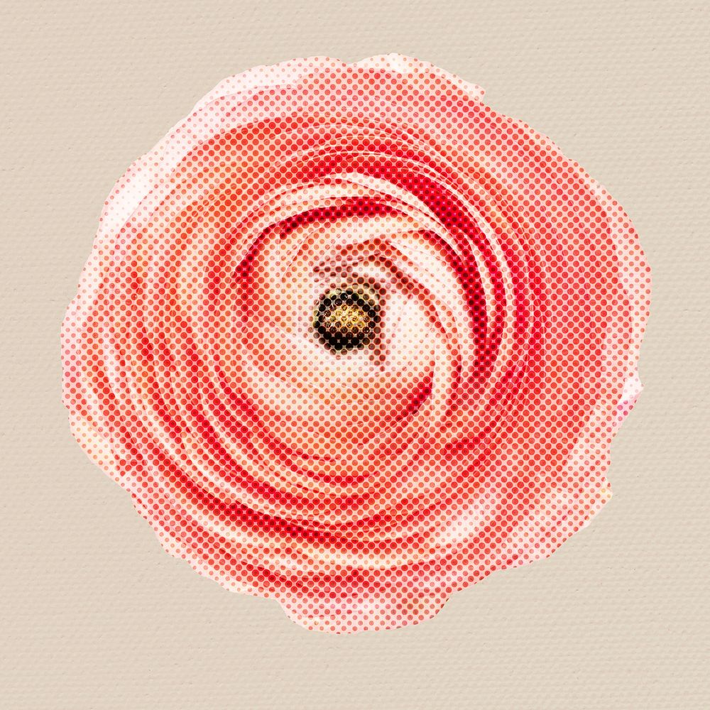 Halftone pink ranunculus sticker overlay