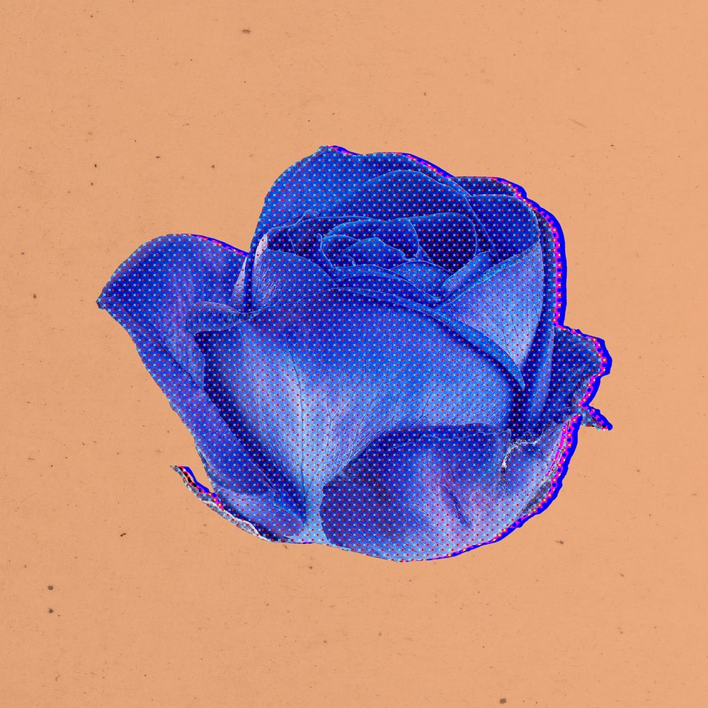 Halftone blue rose flower with neon outline sticker overlay