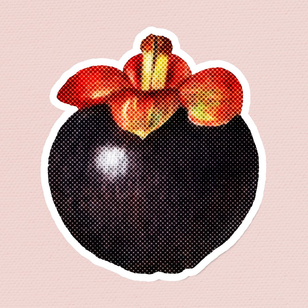 Hand drawn mangosteen halftone style sticker with a white border illustration