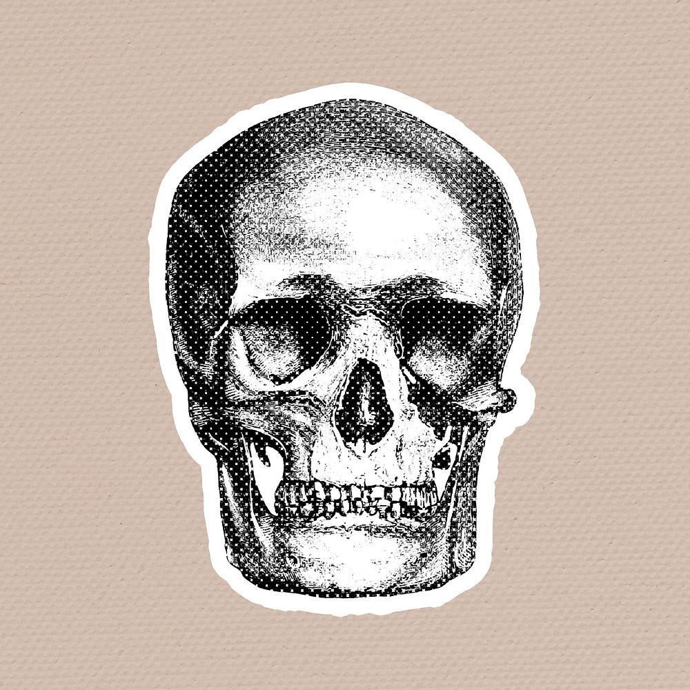 Hand drawn skull halftone style sticker with a white border illustration