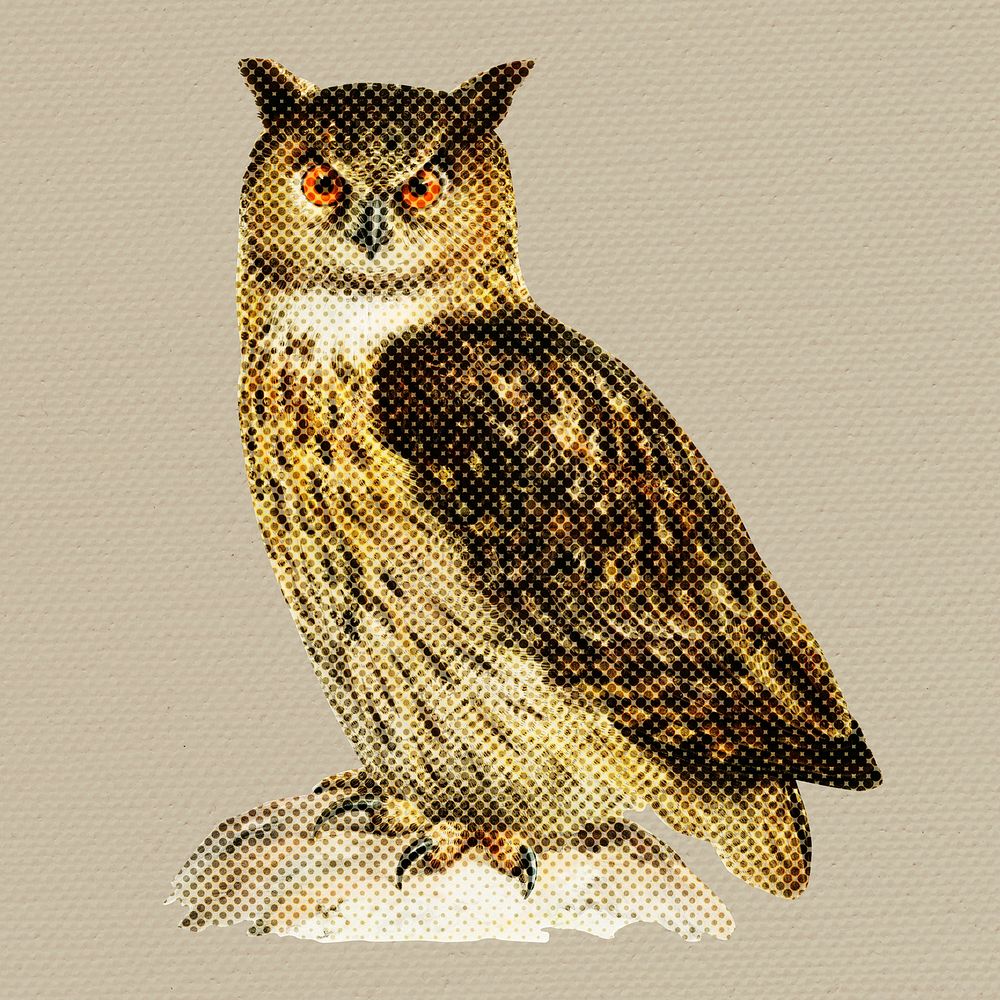 Hand drawn owl halftone style illustration