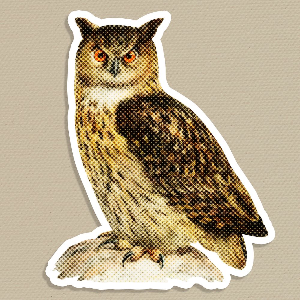 Hand drawn owl halftone style sticker with a white border illustration