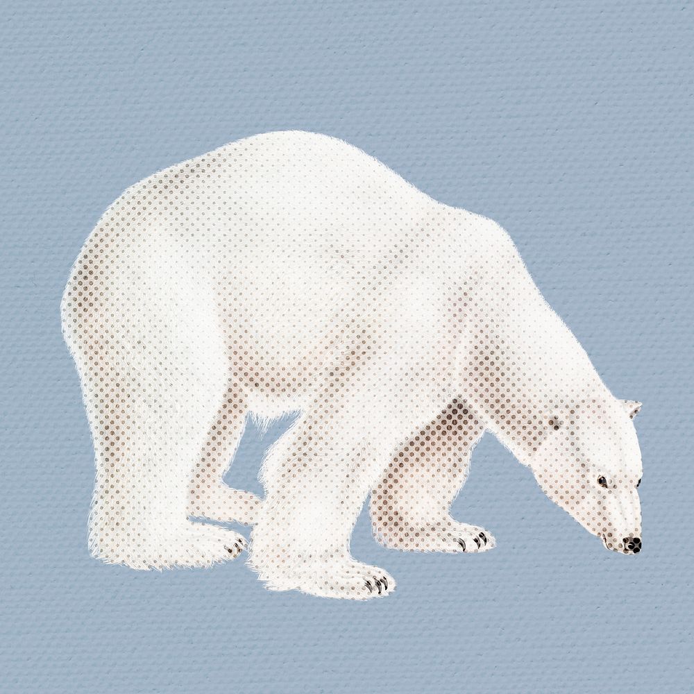 Hand drawn polar bear halftone style illustration