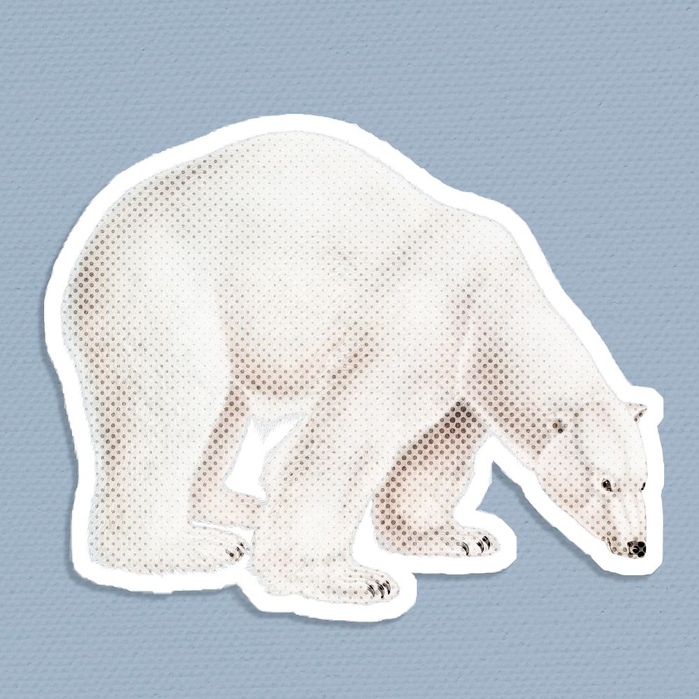 Hand drawn polar bear halftone style sticker with a white border illustration
