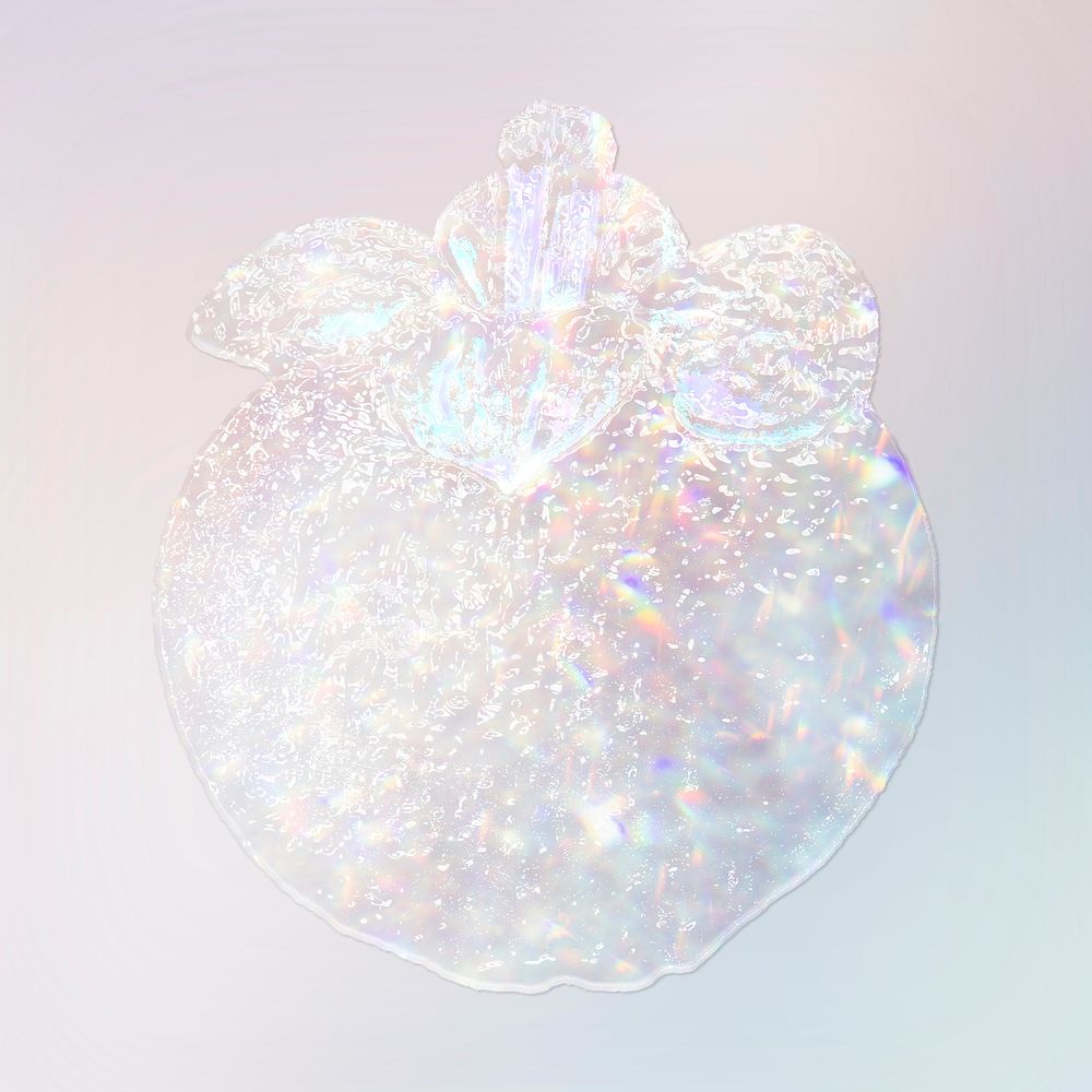 Sparkling silver mangosteen holographic style illustration