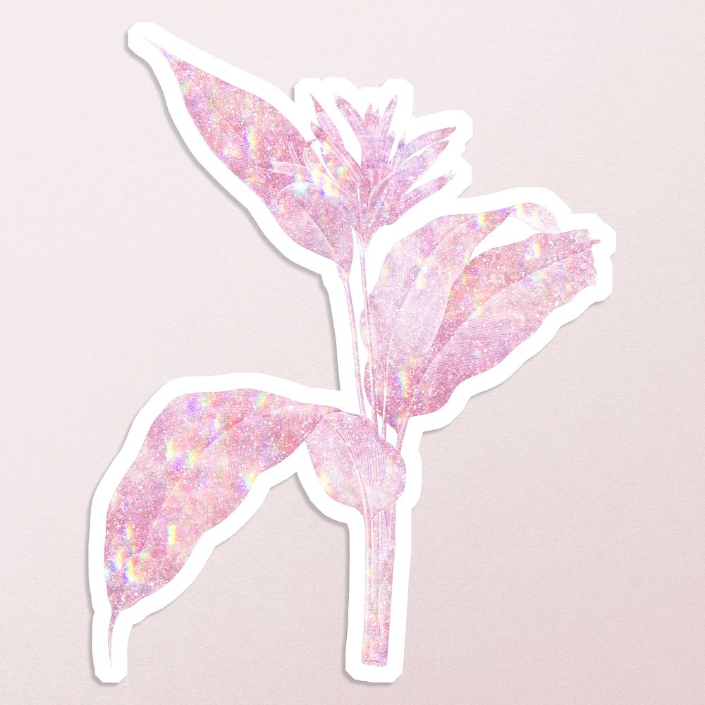 Pink holographic heliconia​​ sticker with a white border