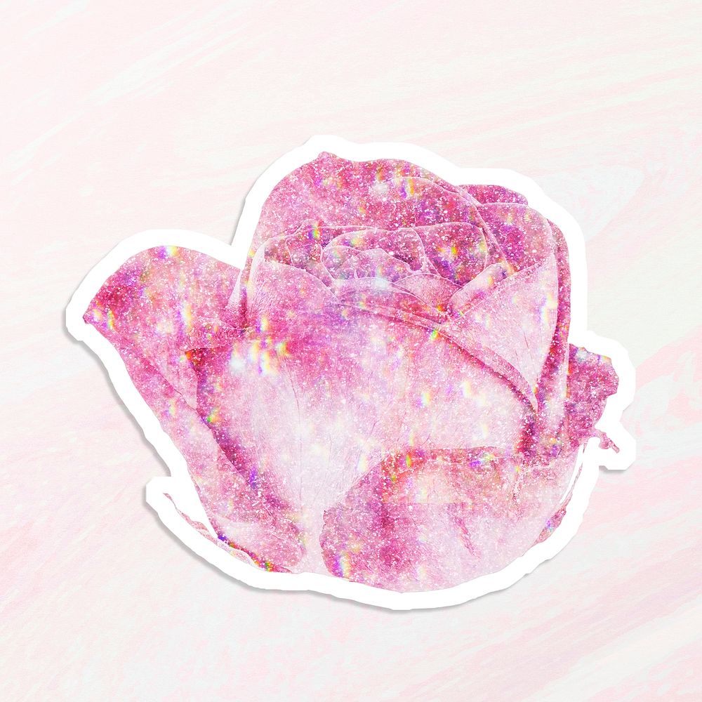 Pink holographic blooming rose sticker with a white border