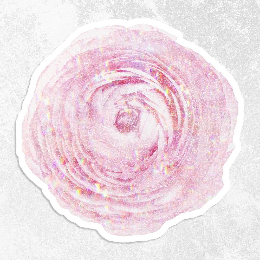 Pink holographic ranunculus sticker with a white border