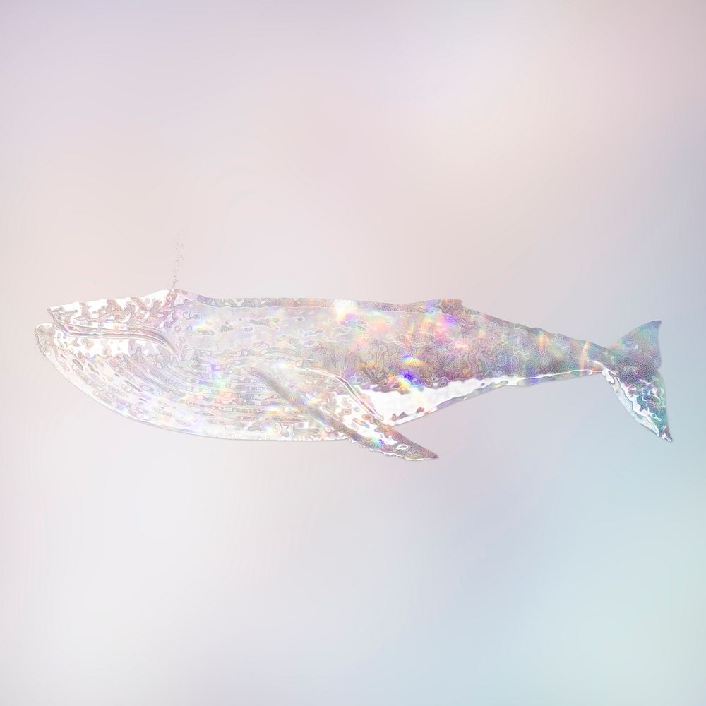 Silvery holographic humpback whale  design element