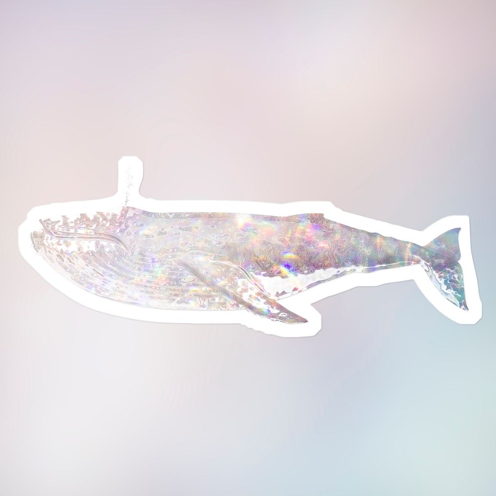 Silvery holographic humpback whale  sticker with a white border
