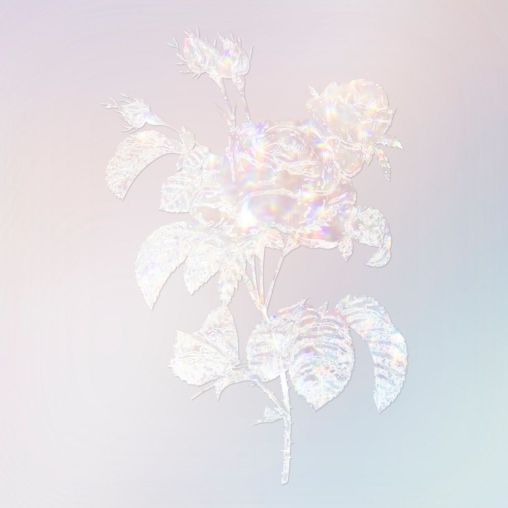 Silver holographic cabbage rose flower design element