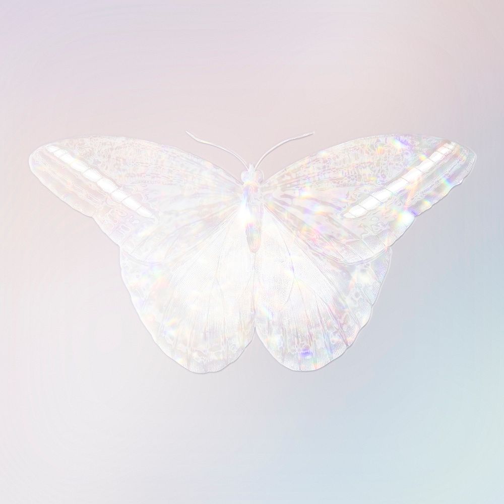 Silver holographic great occidental butterfly design element