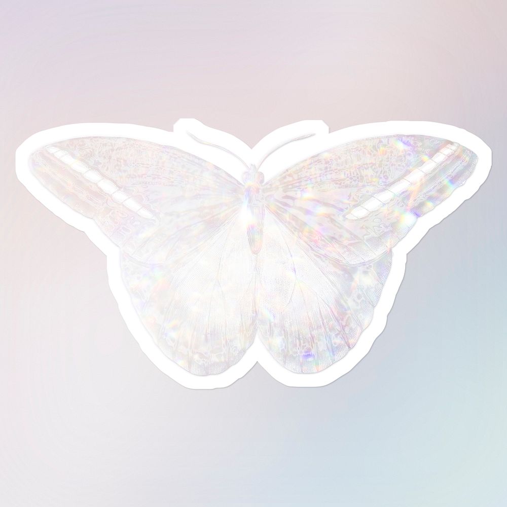 Silver holographic great occidental butterfly sticker with white border