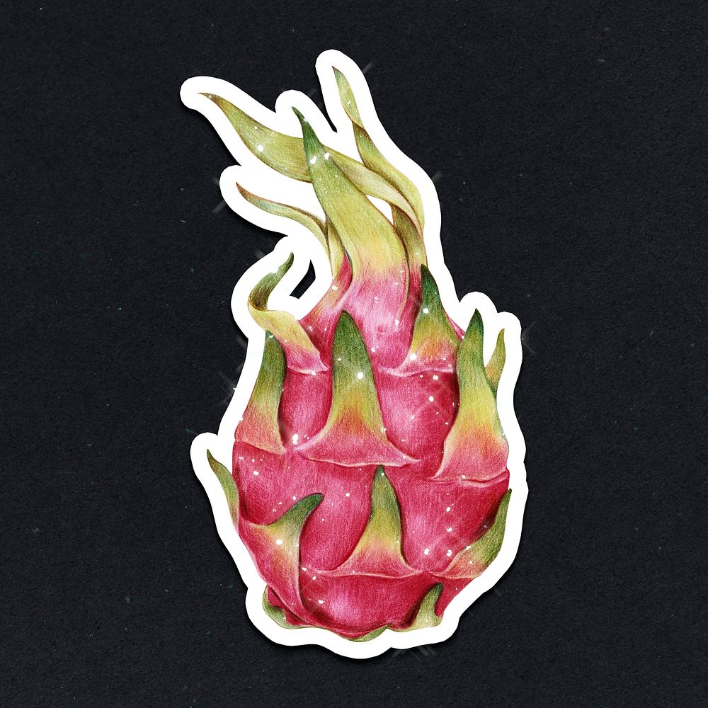 Hand drawn dragon fruit sticker design element with white border
