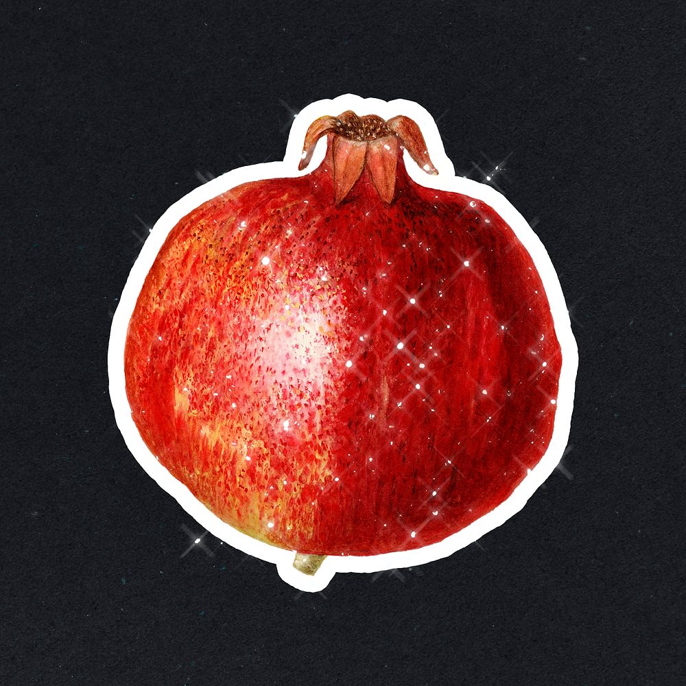 Hand drawn pomegranate sticker design element with white border