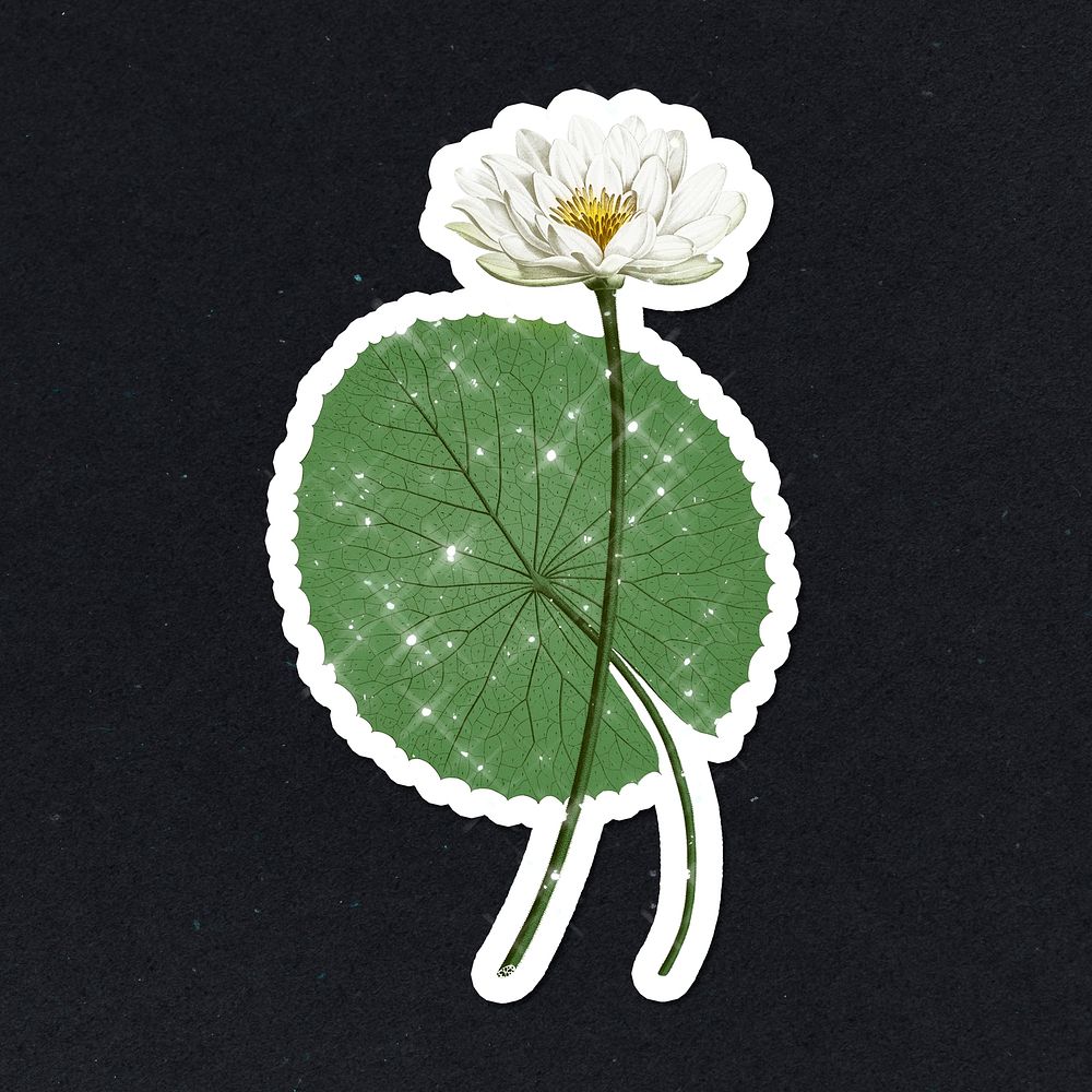 Hand drawn sparkling white Egyptian lotus sticker with white border