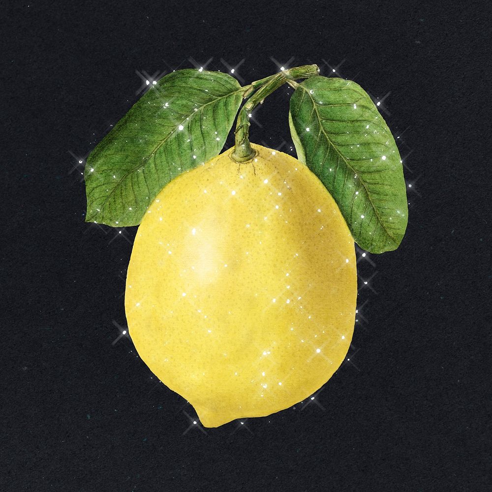 Hand drawn sparkling lemon design element