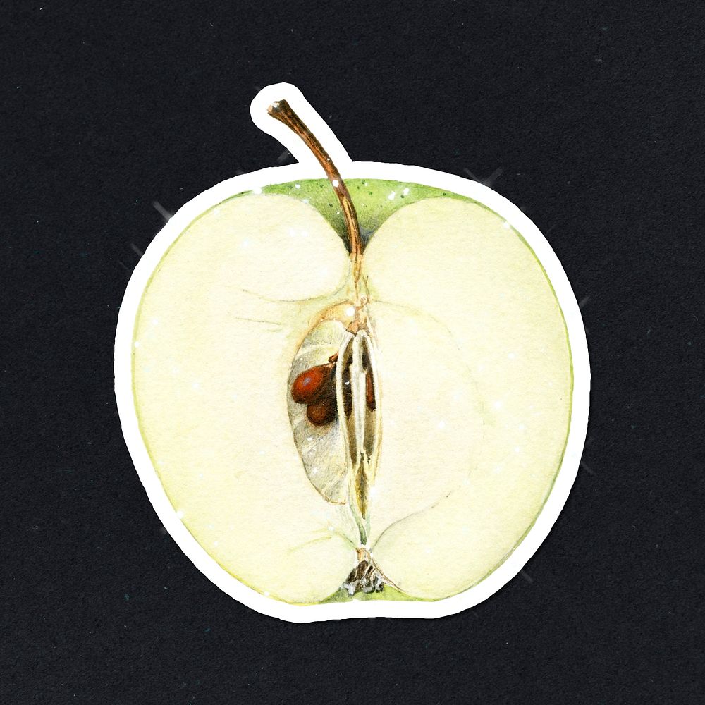 Hand drawn sparkling green apple sticker with white border