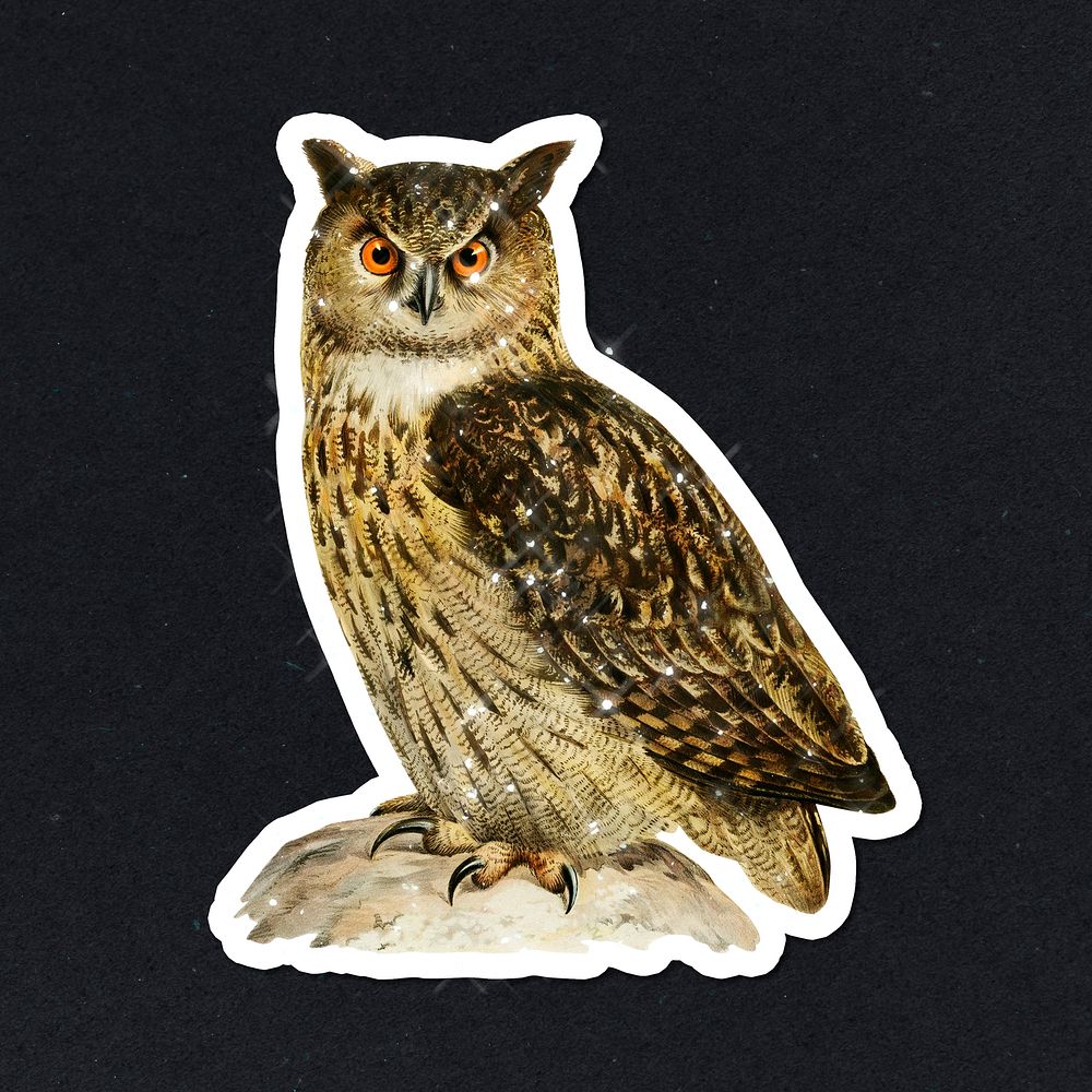 Hand drawn sparkling Eurasian eagle-owl sticker with white border