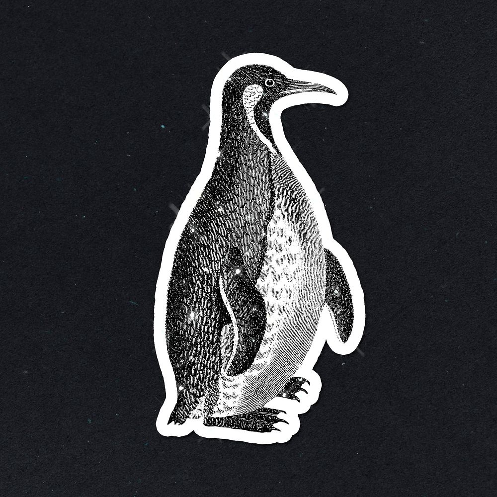 Hand drawn sparkling Patagonian penguin sticker with white border