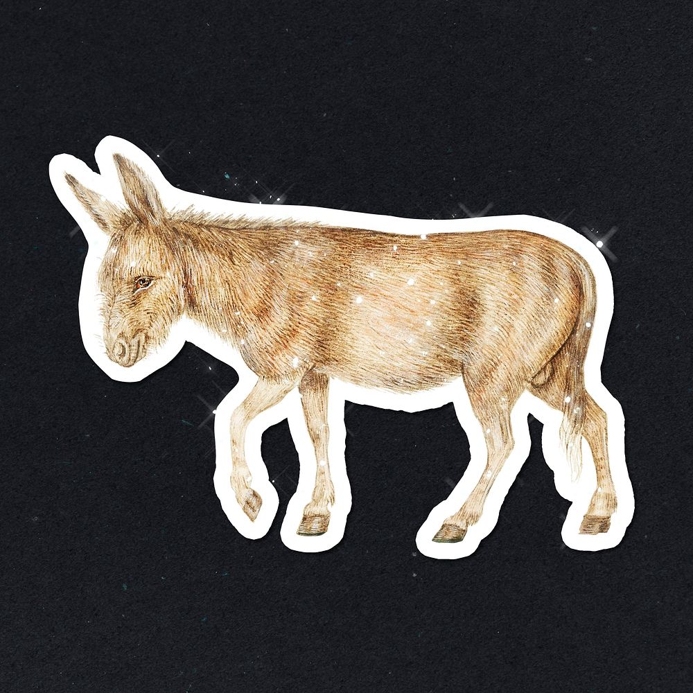 Hand drawn sparkling donkey sticker with white border