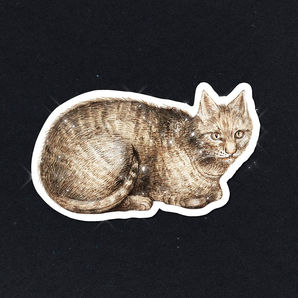 Hand drawn sparkling cat sticker with white border