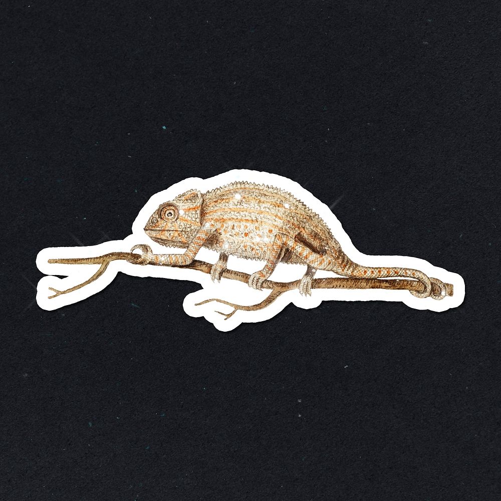Hand drawn sparkling chameleon sticker with white border